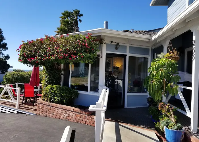 Pet Friendly hotel: Pleasant Inn